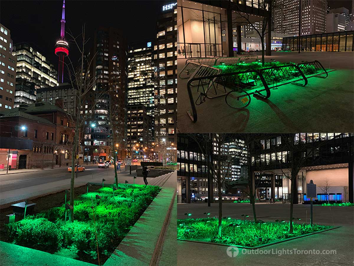 Toronto lighting