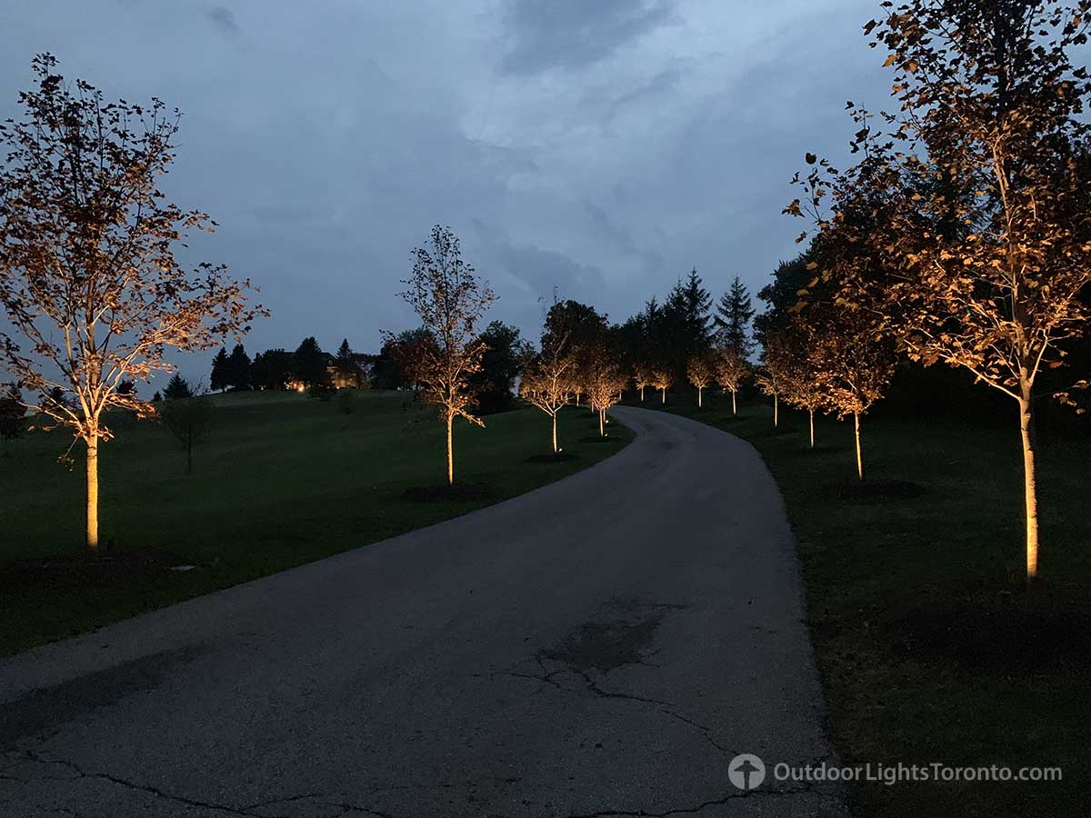 Toronto dr lighting