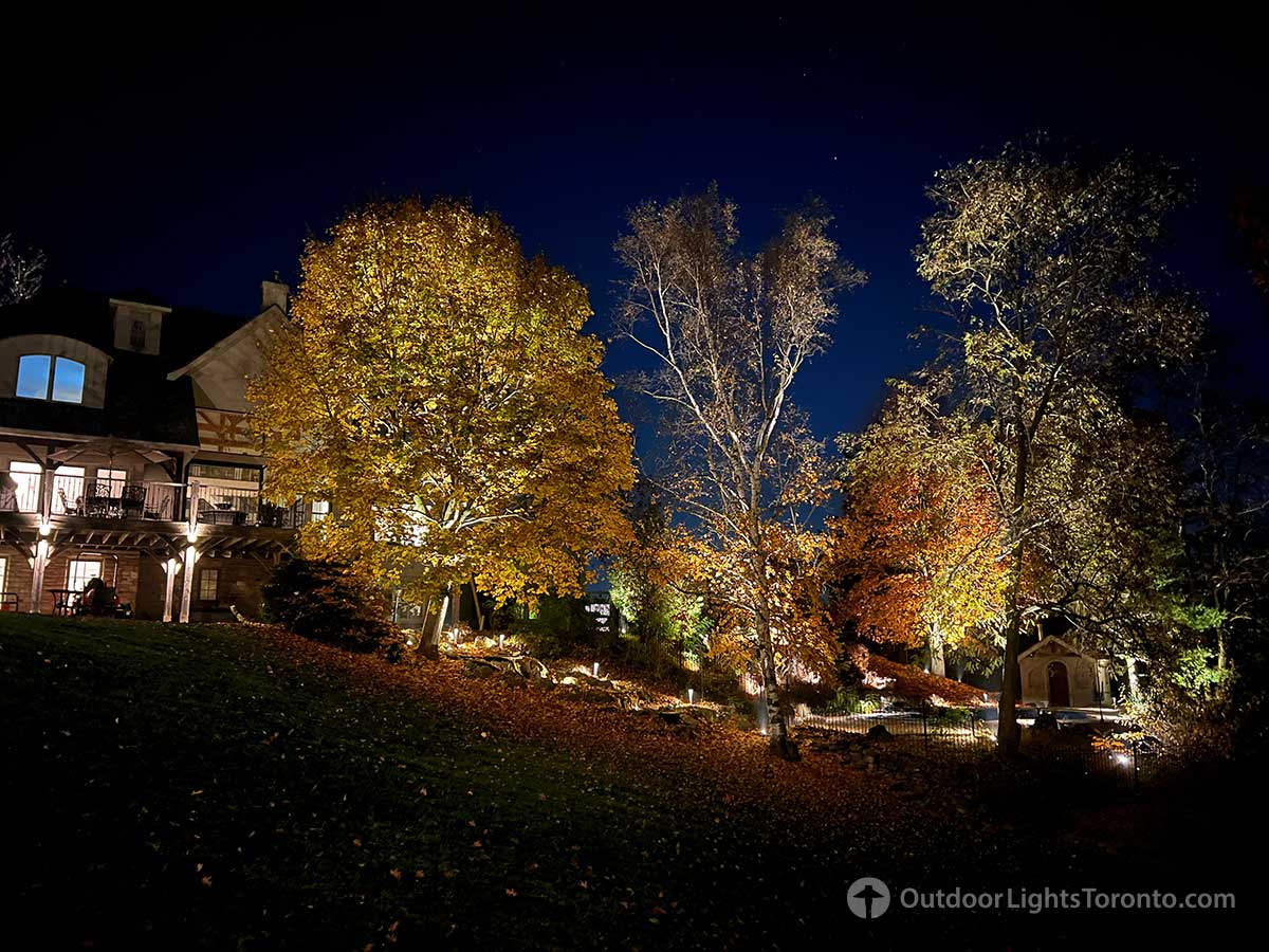 Toronto lighting