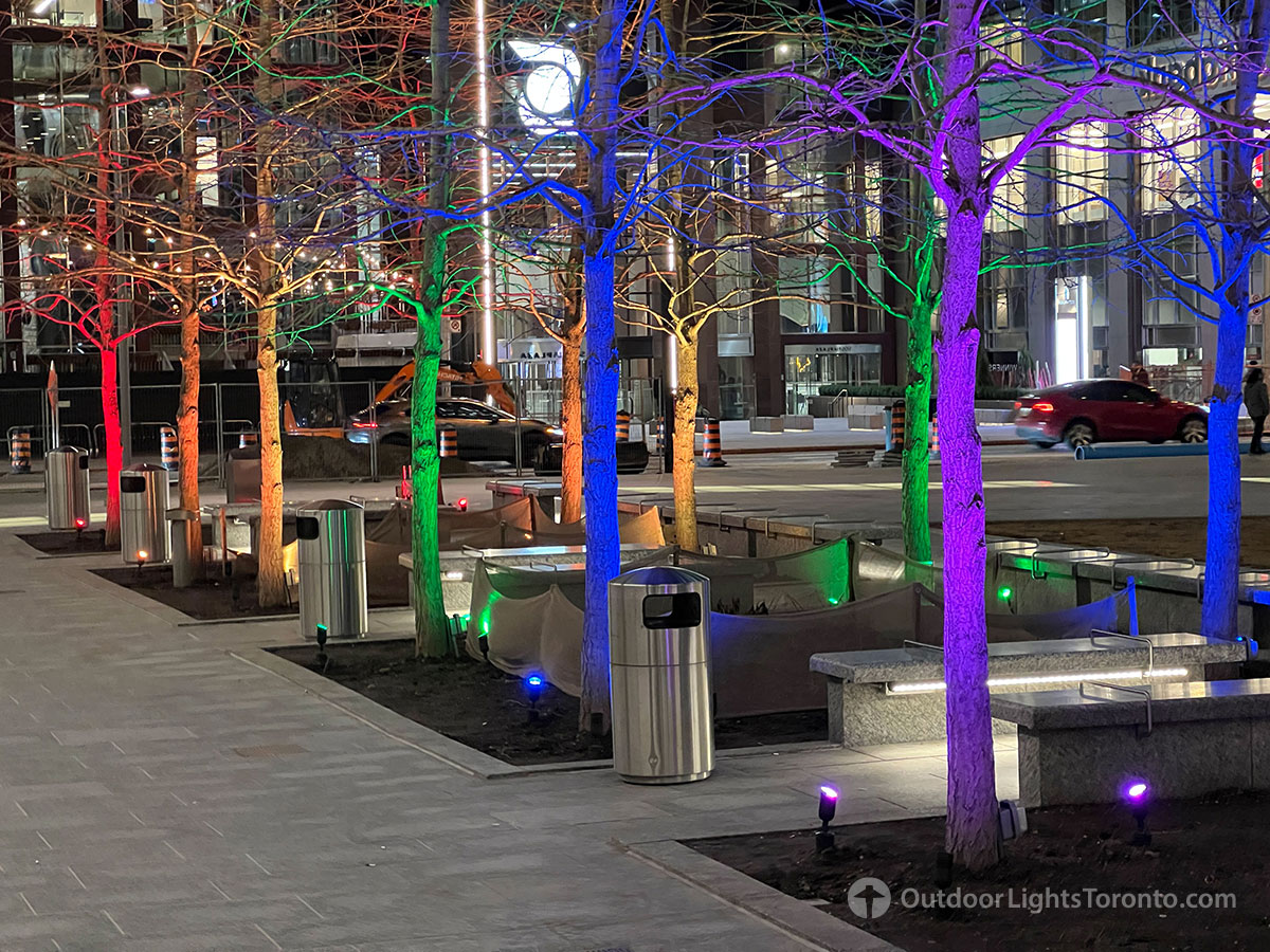 Toronto lighting