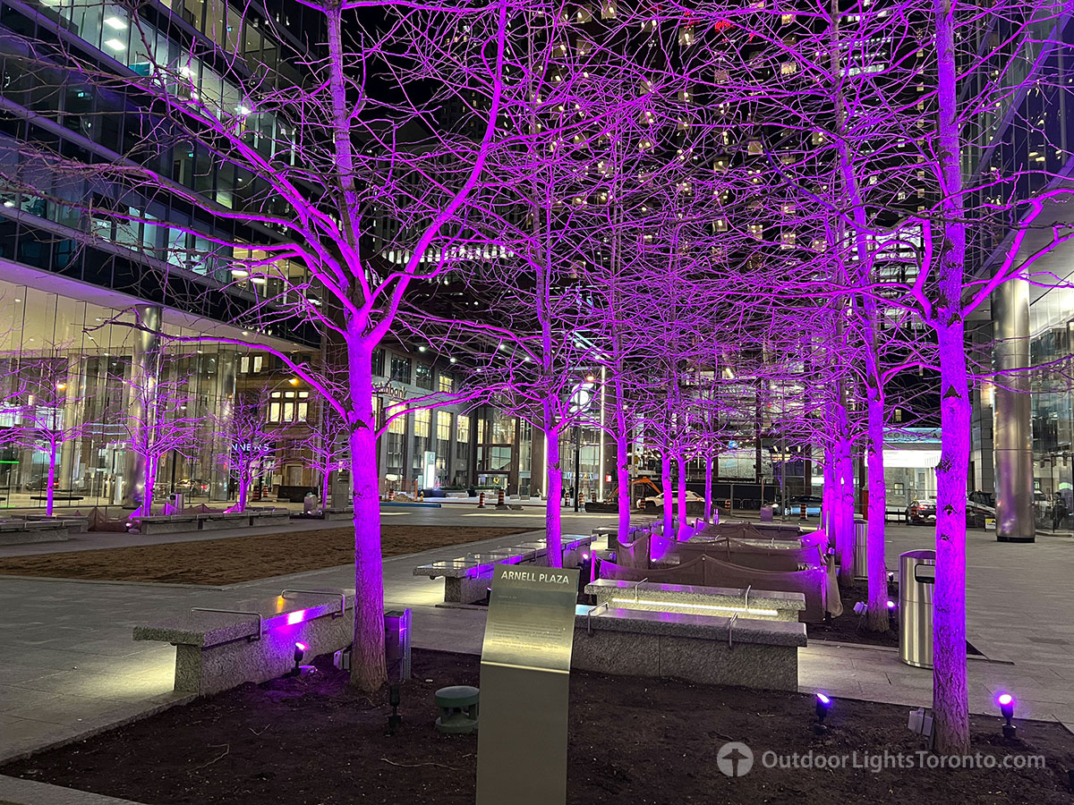 Toronto lighting