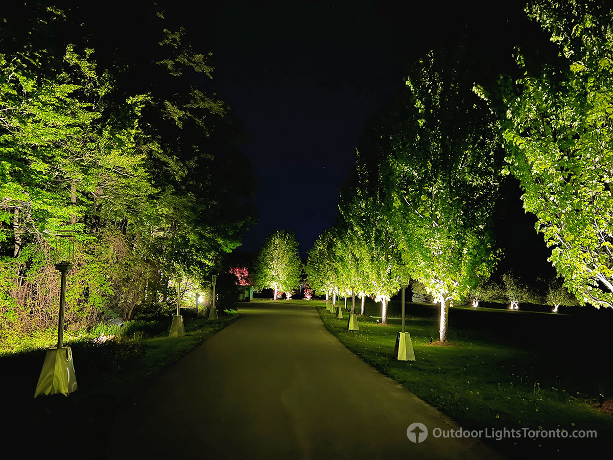 Toronto dr lighting