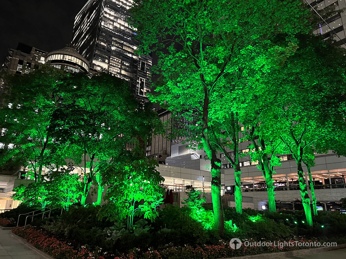 Toronto lighting