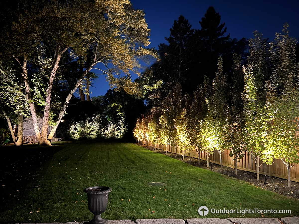 Toronto bac lighting