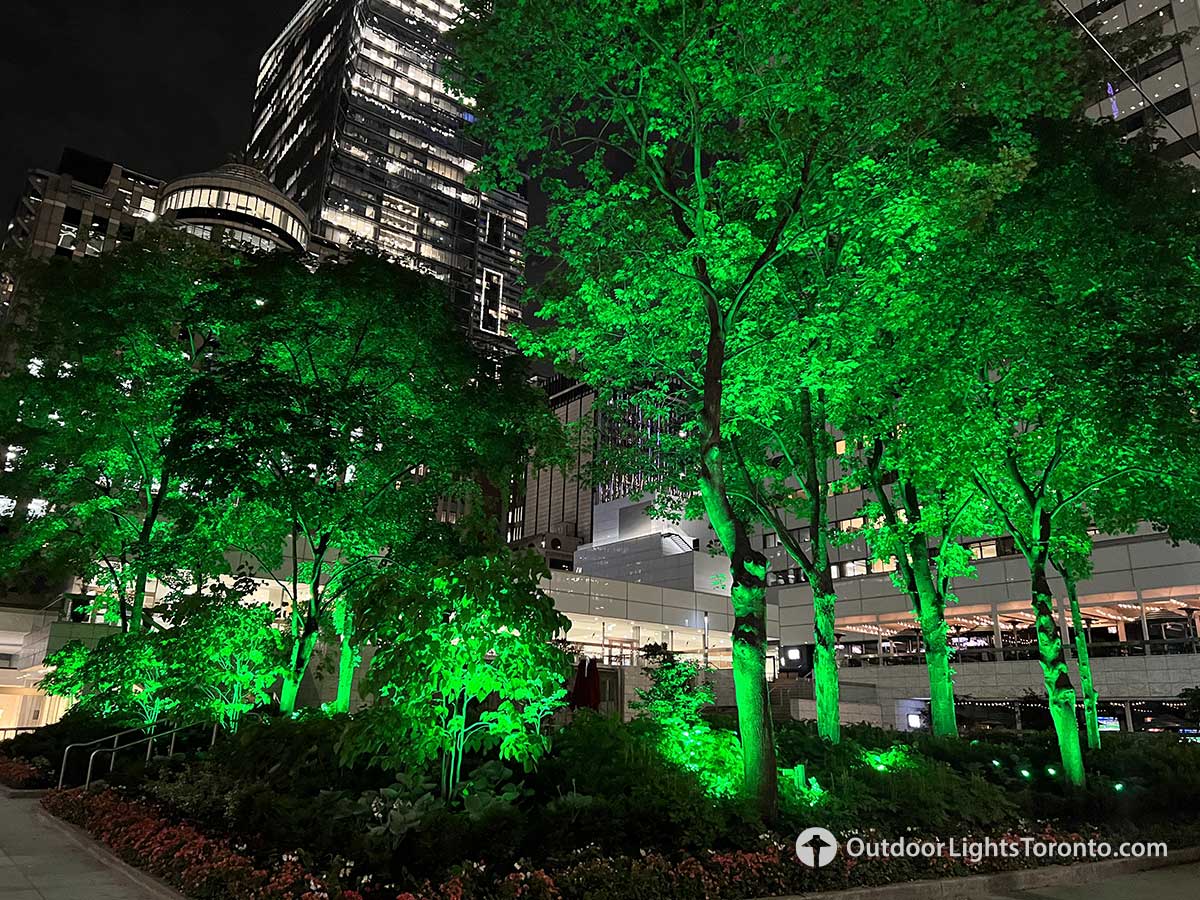 Toronto commercial colour ch lighting